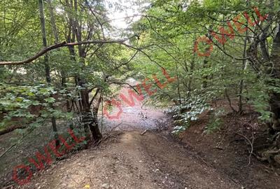 De vânzare o pășune la 5 km de Cernat! - 4