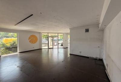 Spatiu comercial cu terasa, Constantin Brancusi - 8