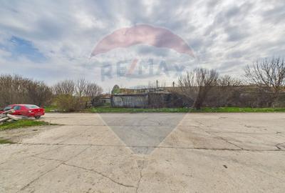 Spațiu industrial de vanzare 7950mp Lehliu Gara acces DN3+A2 - 15