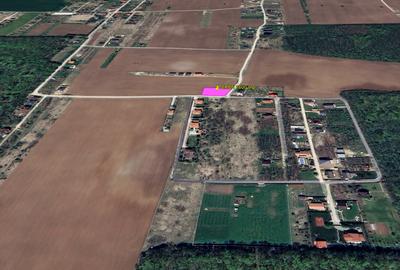 Teren intravilan  800 mp | ocazie rara | Padure - Ciofliceni -Snagov Comision0% - 3