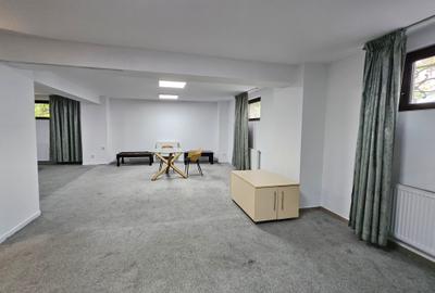 Spatii birou Grozavesti - Demisol, Parter si Etaj 1 - 9