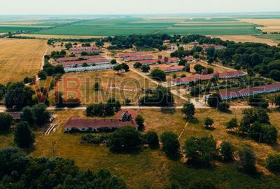 Ferma complet utilată – 30 ha teren comasat cu 11.500mp grajduri renovate Timiș - 5