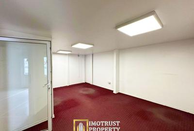 Hala mica de inchiriat Arad central 167 mp, cost redus, acces TIR - 9