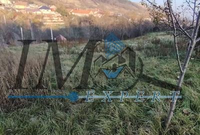 Teren intravilan în Paclisa 1785mp. - 3