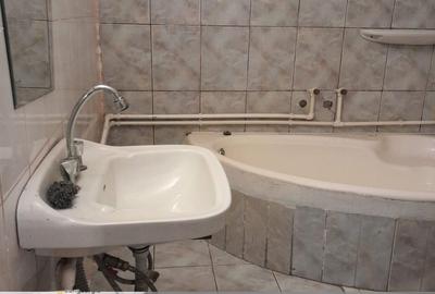 Apartament 1 camera Sangeorgiu de Mures - 3