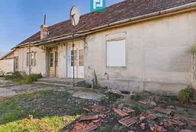 Proprietate impresionantă în Nădab - 28
