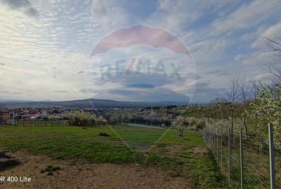 Teren 1430 cu autorizație pentru 2 case | Casă ridicată la roșu - 6