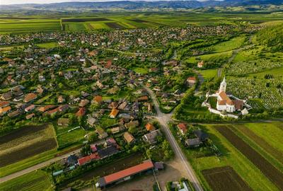 FILM! Gospodarie cu atmosfera traditionala,1.032 mp de verde si gradinarit, Sanz - 7