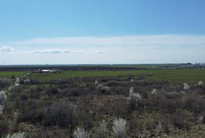 Teren Construcții intravilan de 2000 mp, în Glina