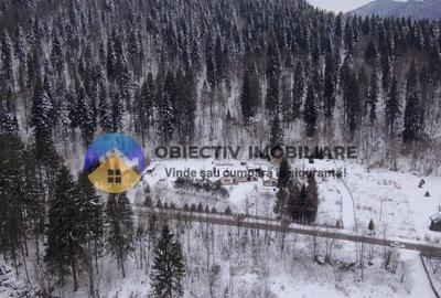 Teren 2283 mp – comuna Tarcău, localitatea Brates  , judetul Neamt - 4