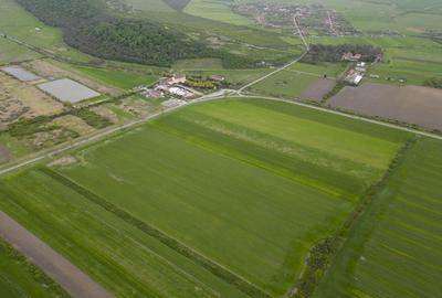 Teren extravilan de 22500mp Zona Ineu - 5