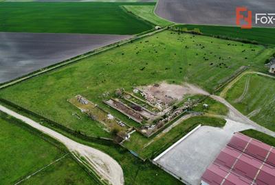 Teren intravilan cu suprafata de 58.340 mp, in Sanmartinul Sarbesc - 19