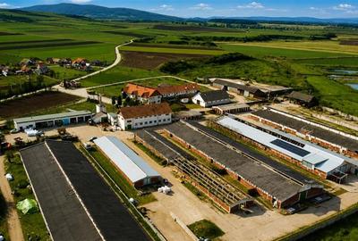 FILM! +25.400mp teren+Complex agrozootehnic cu traditie, accesorizat+ potential - 17