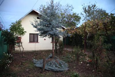 VAND CASA SI CURTE SPATIOASE DE 400 mp ,SITUATE INTR-O ZONA LINISTITA! - 14