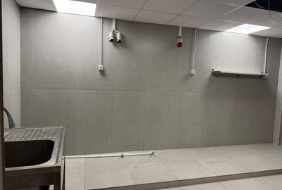 Spatiu comercial si de productie alimentara, Piata Victoriei, de inchiriat - 3