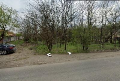 Teren intravilan Malu-Spart 5000 mp- 20€/mp - 5