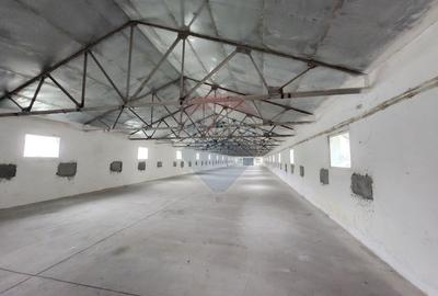 Hale depozitare sau productie Ciorogarla | Darvari 2.2 E/mp - 1