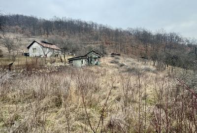 Teren intravilan, loc de casa,  panorama - 1