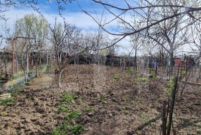 Teren Construcții intravilan de 1000 mp, în Bariera Vâlcii