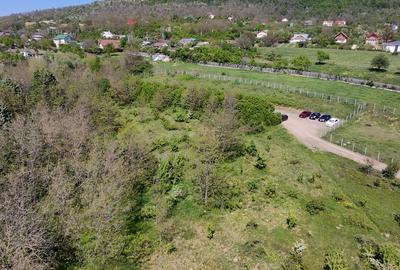 Teren de Vanzare – 850 mp | Petrarie – Burnova | Zona Verde, Investitie - 6