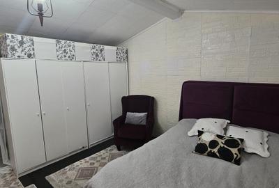 Casă individuală cu SAD, P+M, 2 apartamente, Timișoara, zona Lipovei, comision 0 - 15