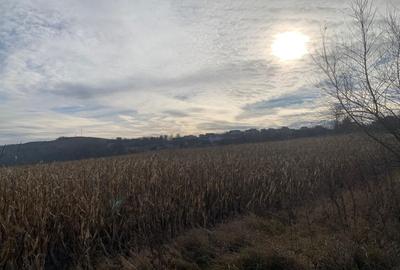 Teren intravilan de vânzare | Cajvana | 7.800 mp - 10