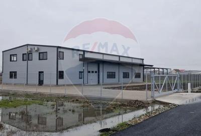 Închiriere Hală Modernă 500 mp/ 6 m Înălțime/ Vladimirescu - 1