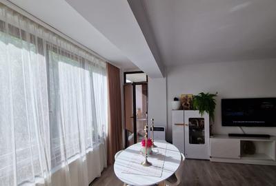 Apartament 3 camere complet mobilat in Sibiu D Stanca - 11