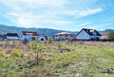 Intrare in Rasnov dinspre Brasov, zona de case noi, teren de 1976mp,  80 euro/mp - 7