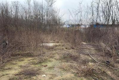 Teren intravilan, 300 MP, comuna Malu Mare, zona Adrilex - 1