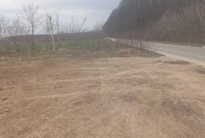 Teren   de vanzare  Dragomiresti Deal - 2