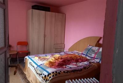CASA DE VANZARE IN ARADUL NOU - 8