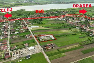 RECO Hala frigorifica Lugasu de Jos Bihor - 1