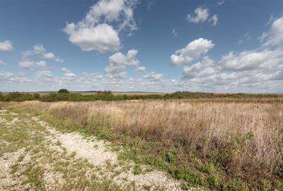 Teren intravilan in Rontau - 1