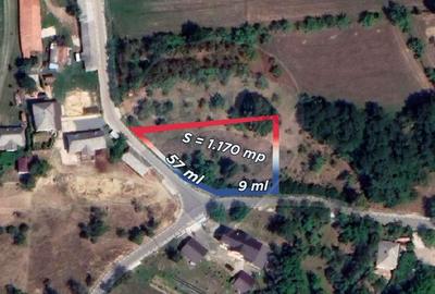 Carbunari Vanzare teren cu fundatie, proiect de casa si racorduri - 12