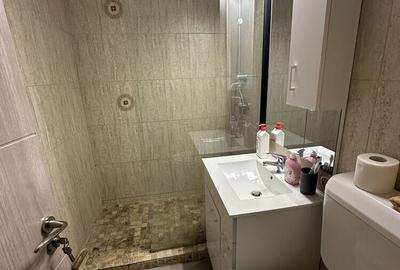 Dristor Baba Novac Apartament complet renovat 2 camere - 3