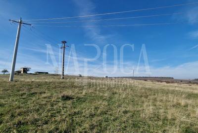 Teren extravilan agricol de vanzare in Iris, Cluj Napoca - 5