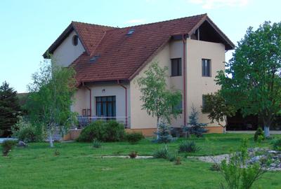 FARA COMISIOANE CASA MOBILATA CU 7 CAMERE 4 BAI P+1+M GARAJ PISCINA pe 4000mp - 2