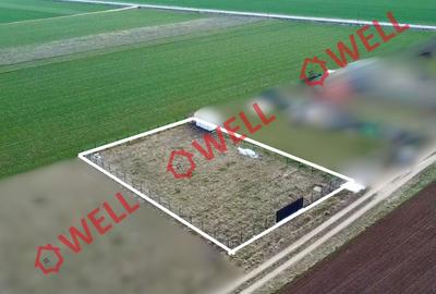 Teren intravilan de vânzare în Angheluș! - 4