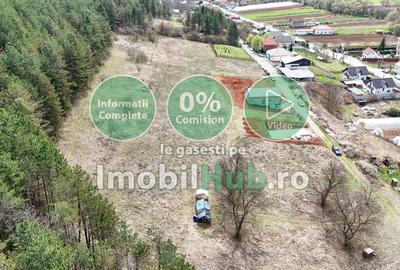 14 Parcele Pentru Case Individuale, Sat Vlaha, Com. Savadisla - 6