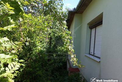 De vanzare casa  cu teren 1520mp sat Dumbrava, Capusu Mare - 12