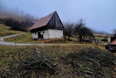 Teren intravilan Simon/Bran, 4318 mp , casuta intabulata, utilitati - 34