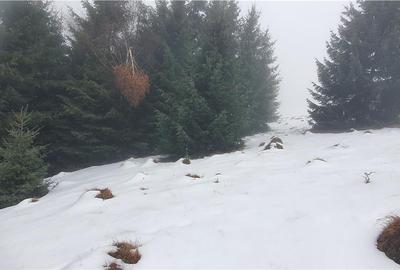 Teren 5.000 mp in Păltiniș Zona Vălari (Priveliște Panoramic - 6