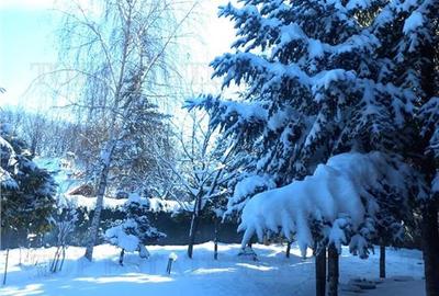 FOR SALE  Vila Signature in Ansamblu Rezidential Privat, Snagov - 8