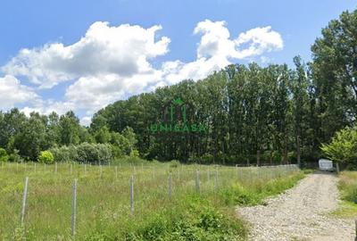 Teren Bujoreni  1073mp / Intravilan - 3