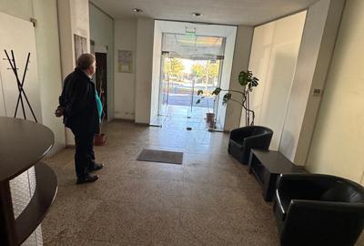 Cladire de Birouri Hala Productie Soseaua Alexandriei Stradal - 12