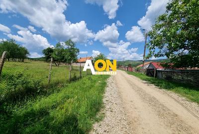 De vanzare 5898mp teren intravilan, zona Paclisa - 5