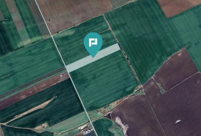 Teren 30.000 mp cu acces asfaltat – Peciu Nou - 3