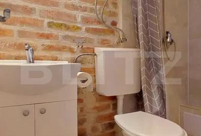 Garsoniera 24 mp, Centru - 6