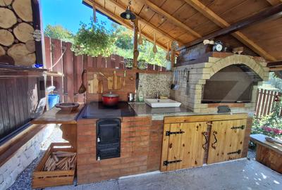 Proprietate deosebita cu suprafata de 240 mp utili si 825 mp curte - 16
